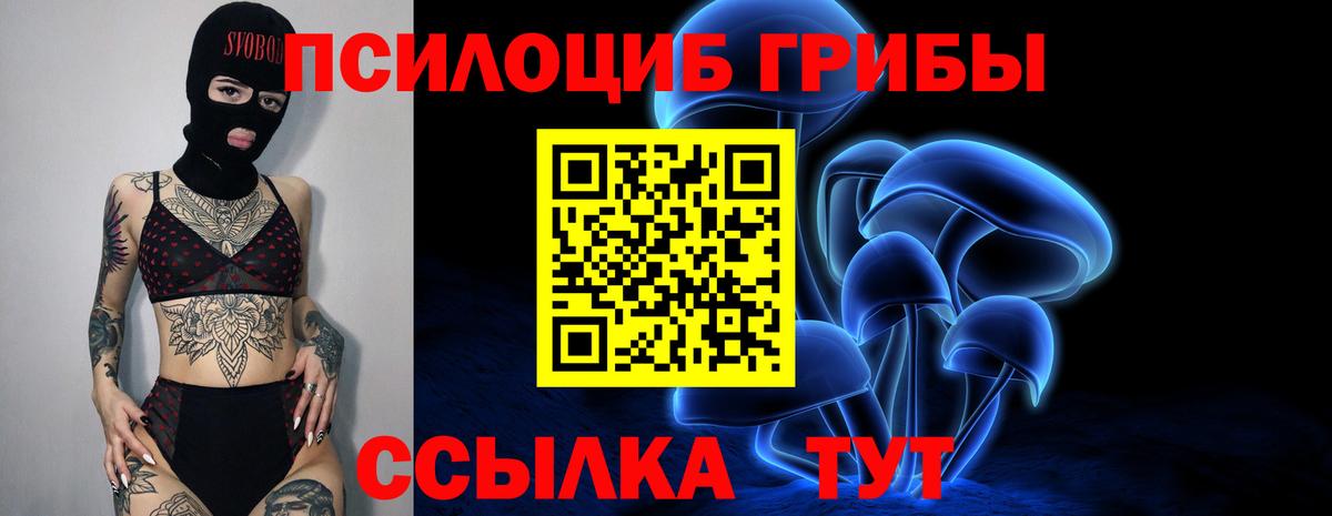 Октябрьский  Галлюциногенные грибы Cubensis  Вход с VPN 